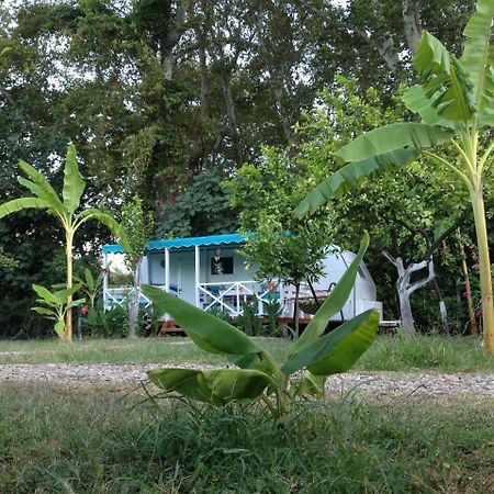 Bellerofon Caravan & Camping Çıralı Extérieur photo