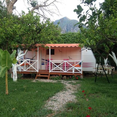 Bellerofon Caravan & Camping Çıralı Extérieur photo