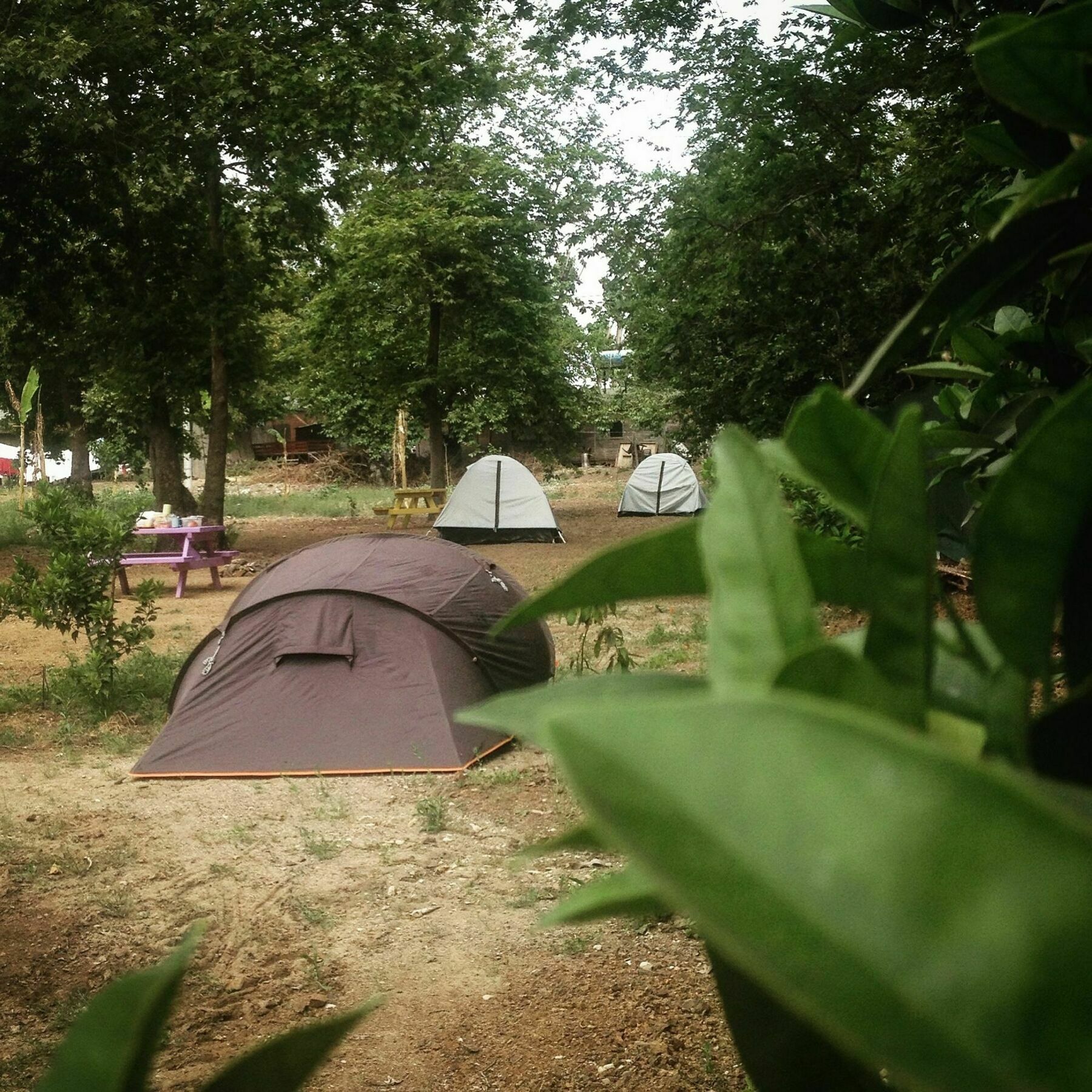 Bellerofon Caravan & Camping Çıralı Extérieur photo